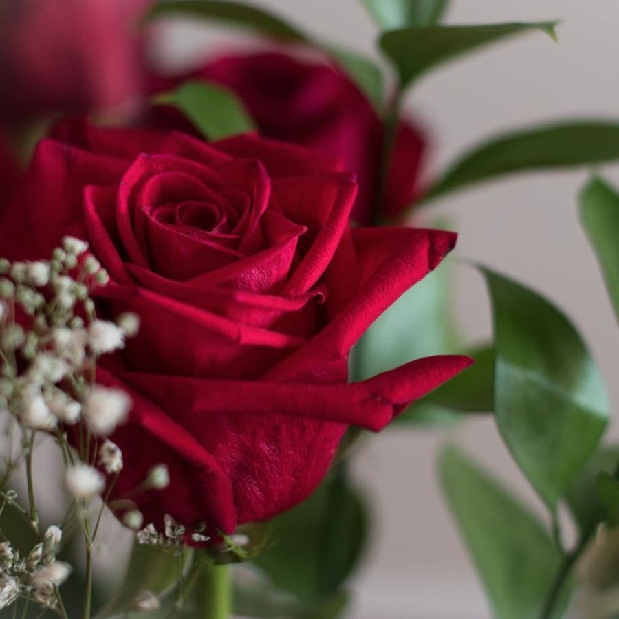Classic Red Roses Bouquet view 2
