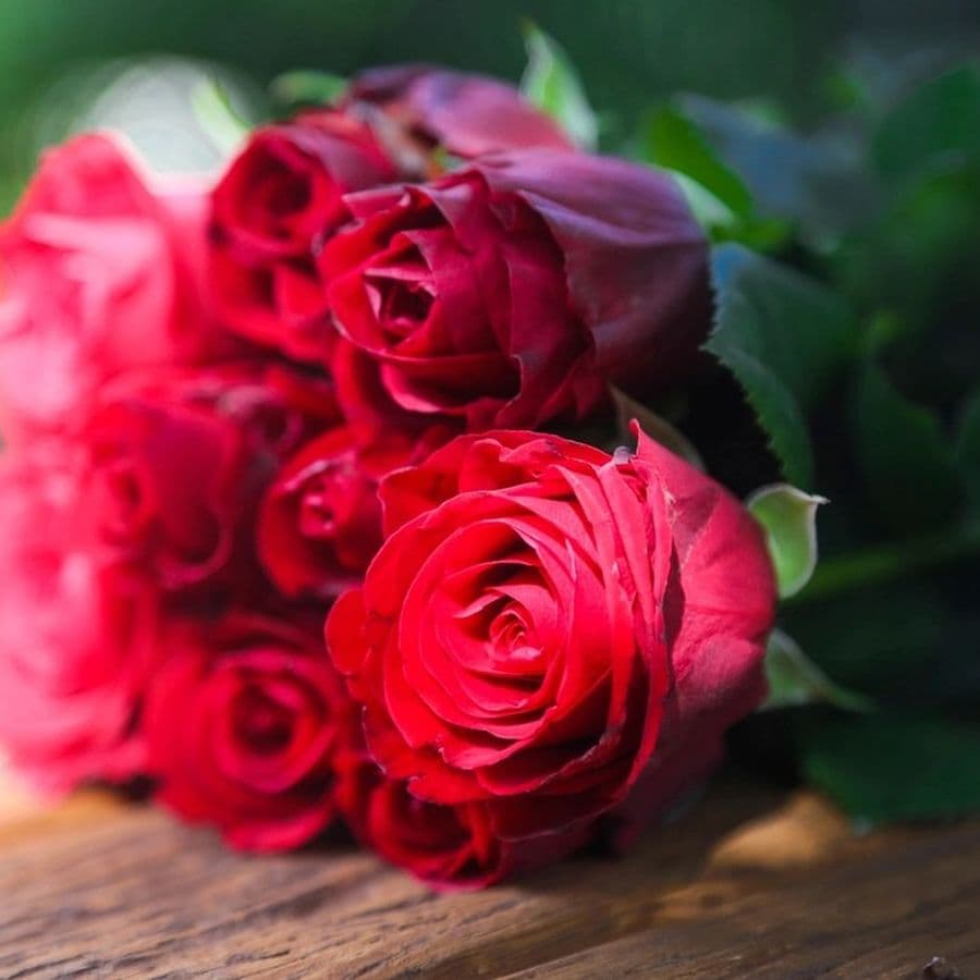 Classic Red Roses Bouquet view 3